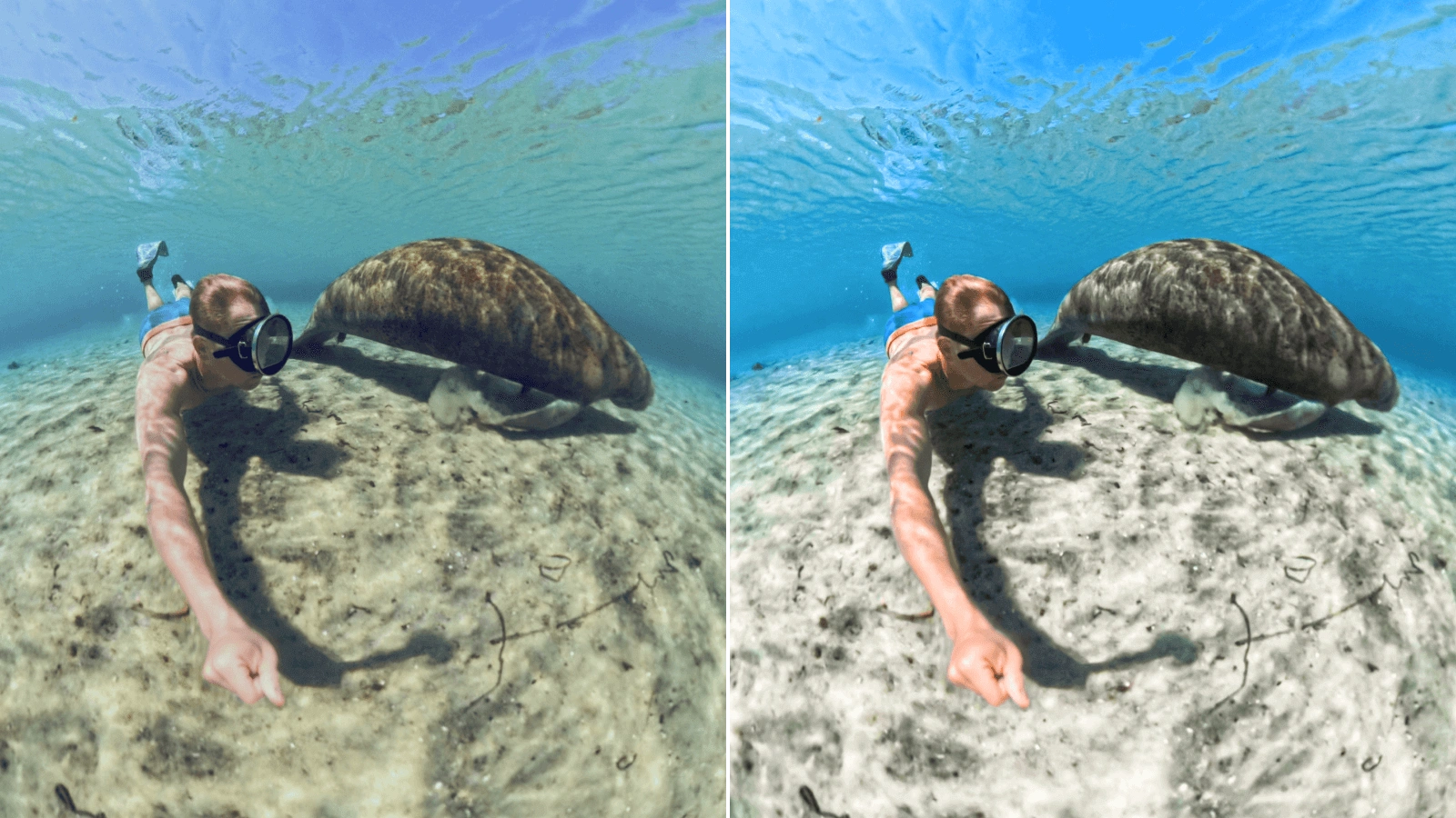 Insta360