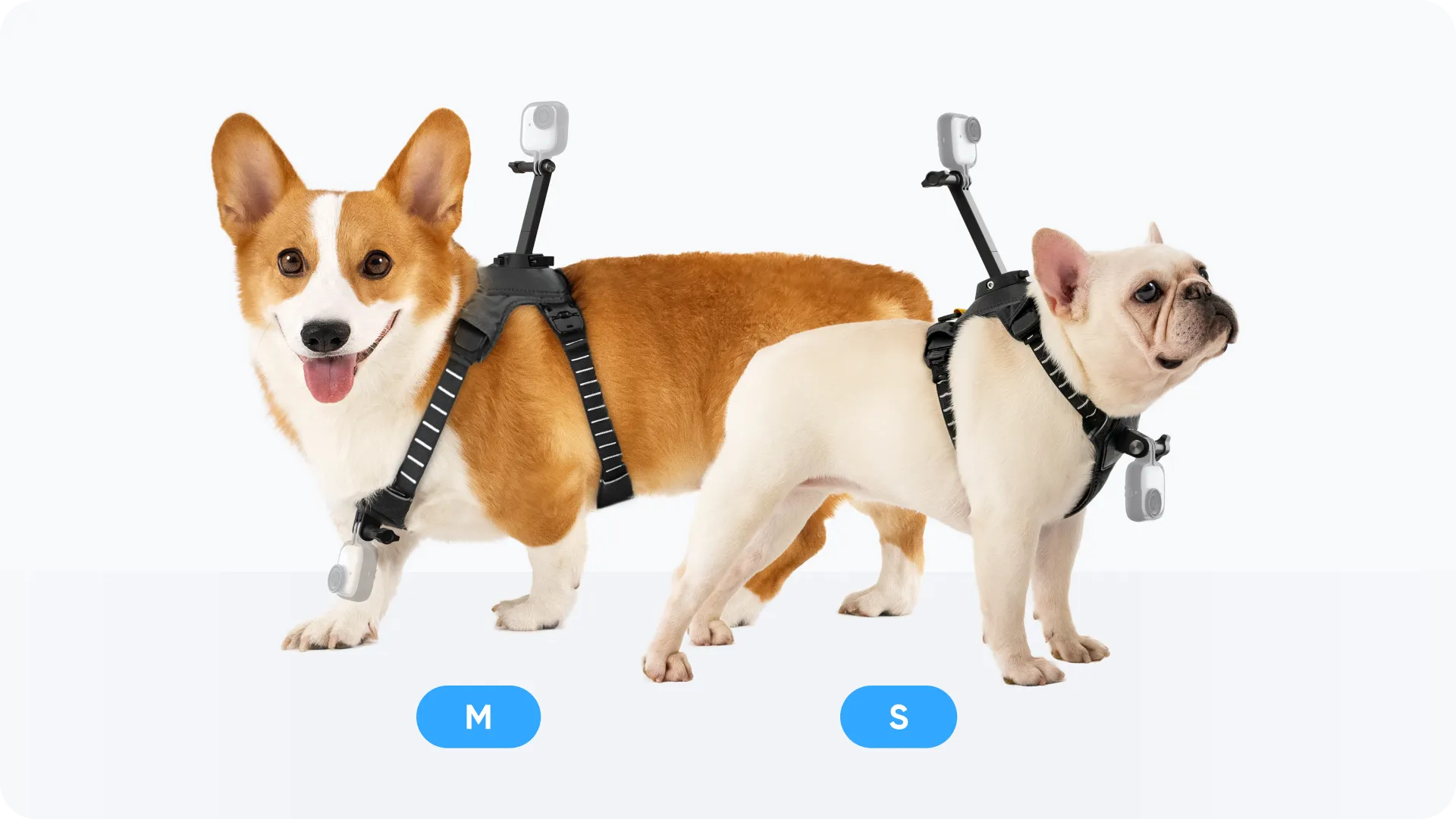 Small or medium? We've got you.