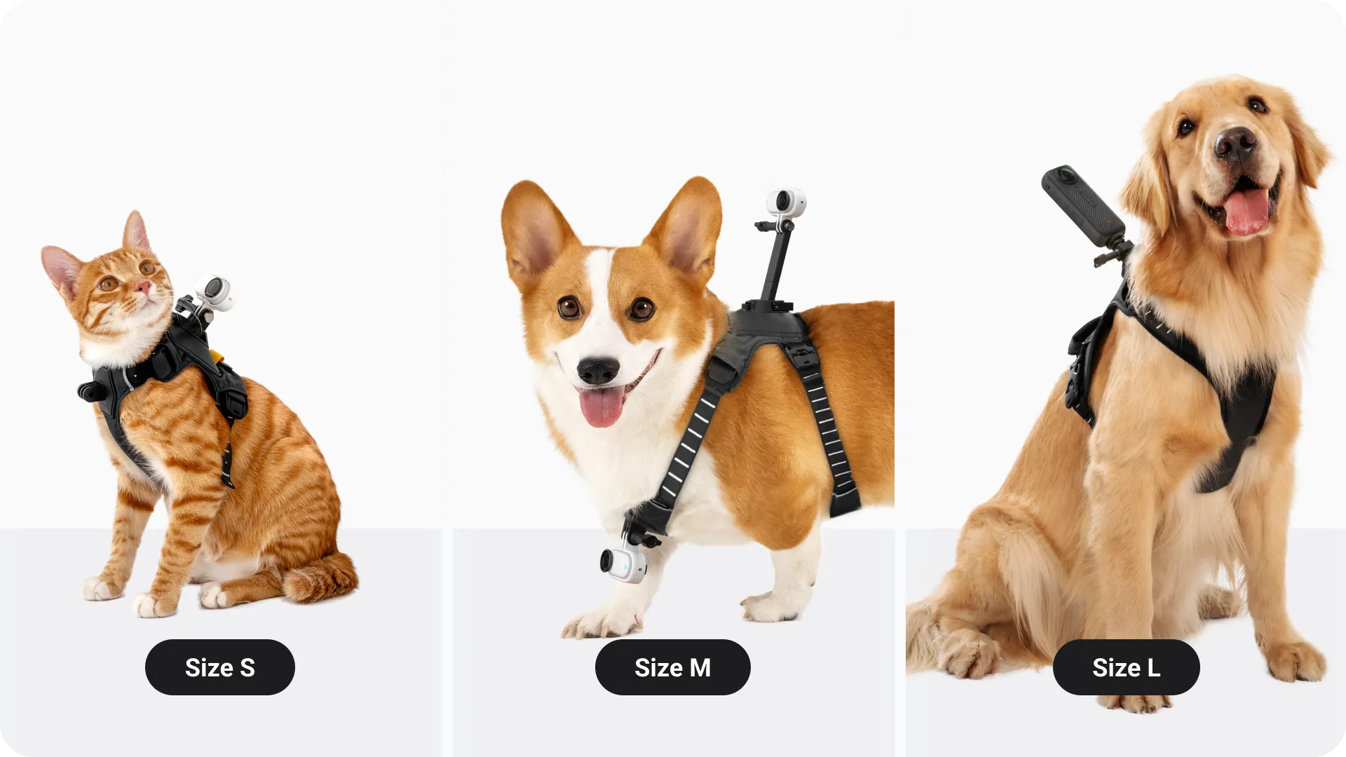 Find the perfect fit.