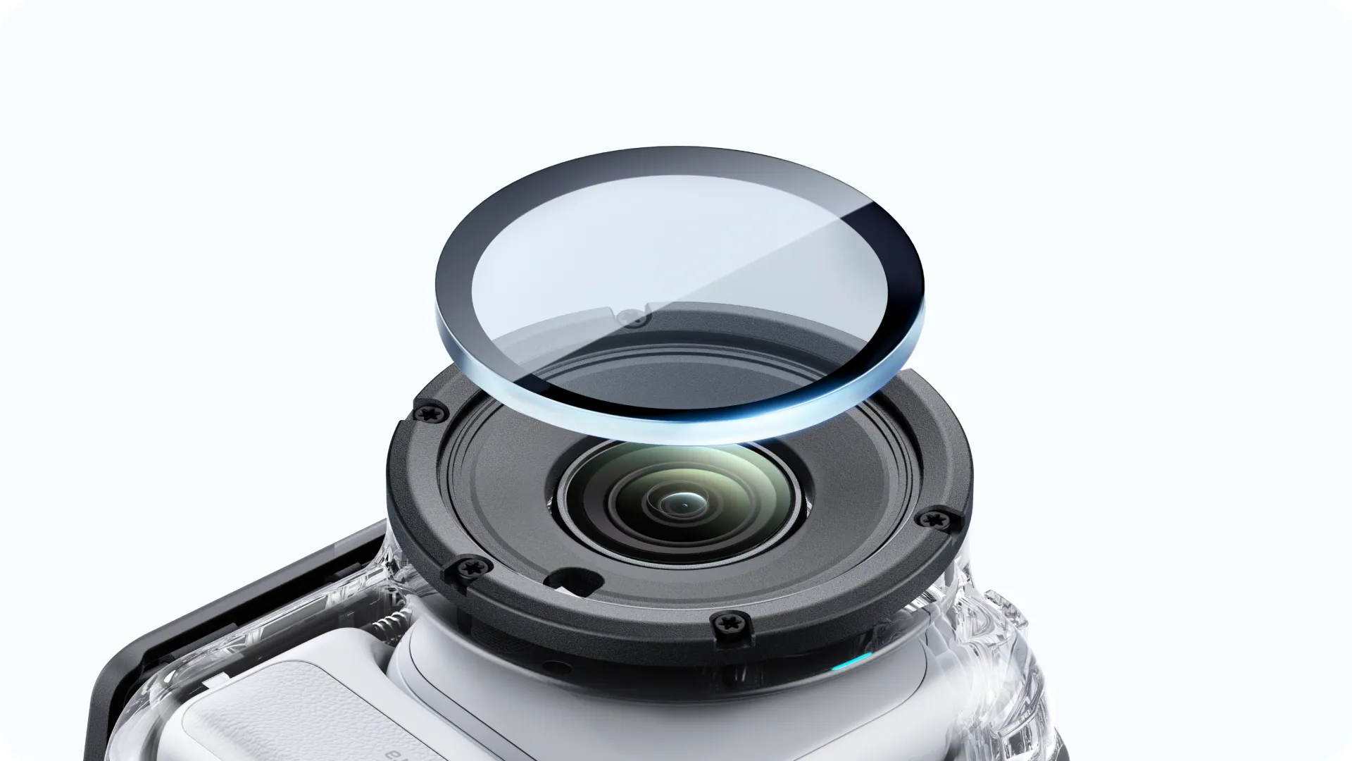 Crystal clear capture.
