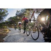 Garmin - Radar si lumină spate pentru bicicletă - Varia Radar RTL515