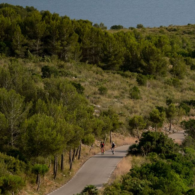 Orbea - bicicleta sosea cursiera - Avant H60 - albastra