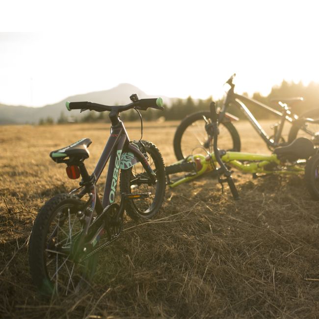 Orbea - bicicleta copii MX 20 Team DISC - verde